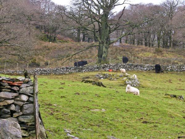 Y Bwthyn Villa Llanbedr  Bagian luar foto